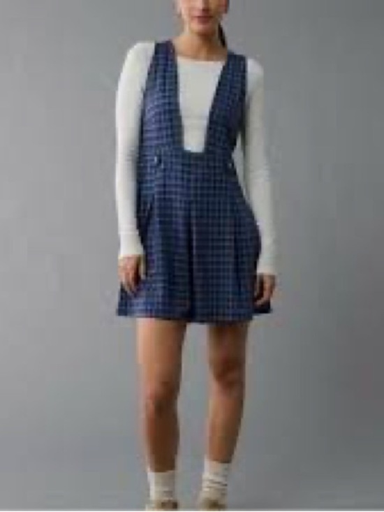 American Eagle Outfitters Dresses & Skirts - AEO Plaid Indigo Pinafore Mini Dress - Women size Large new